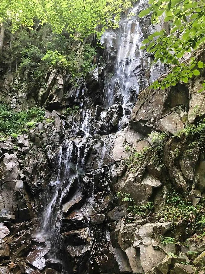 Lodge Stanza Privata A 10 Minuti Dall'Abetone Pian di Novello